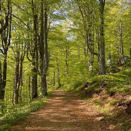 Honey Valley